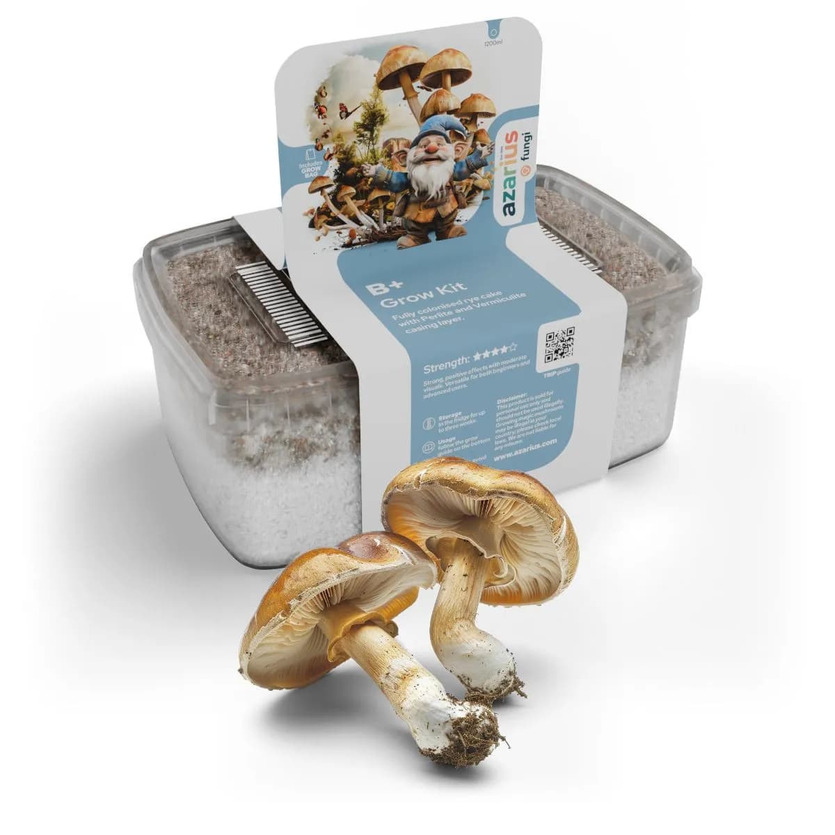B+ Magic Mushrooms