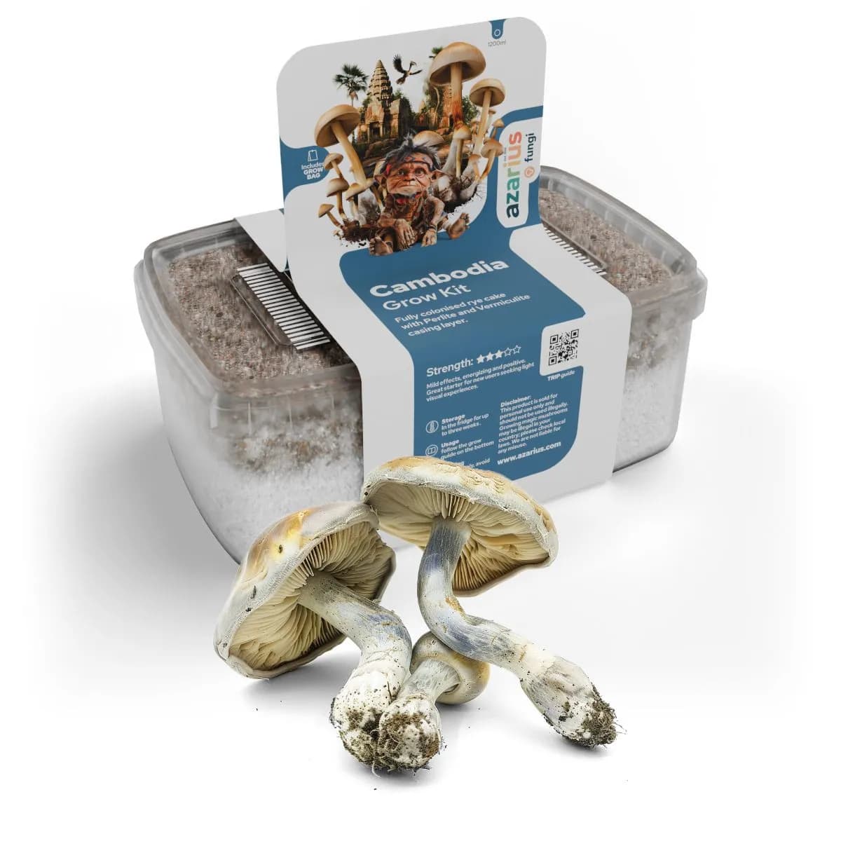 Cambodia Magic Mushroom Grow Kit