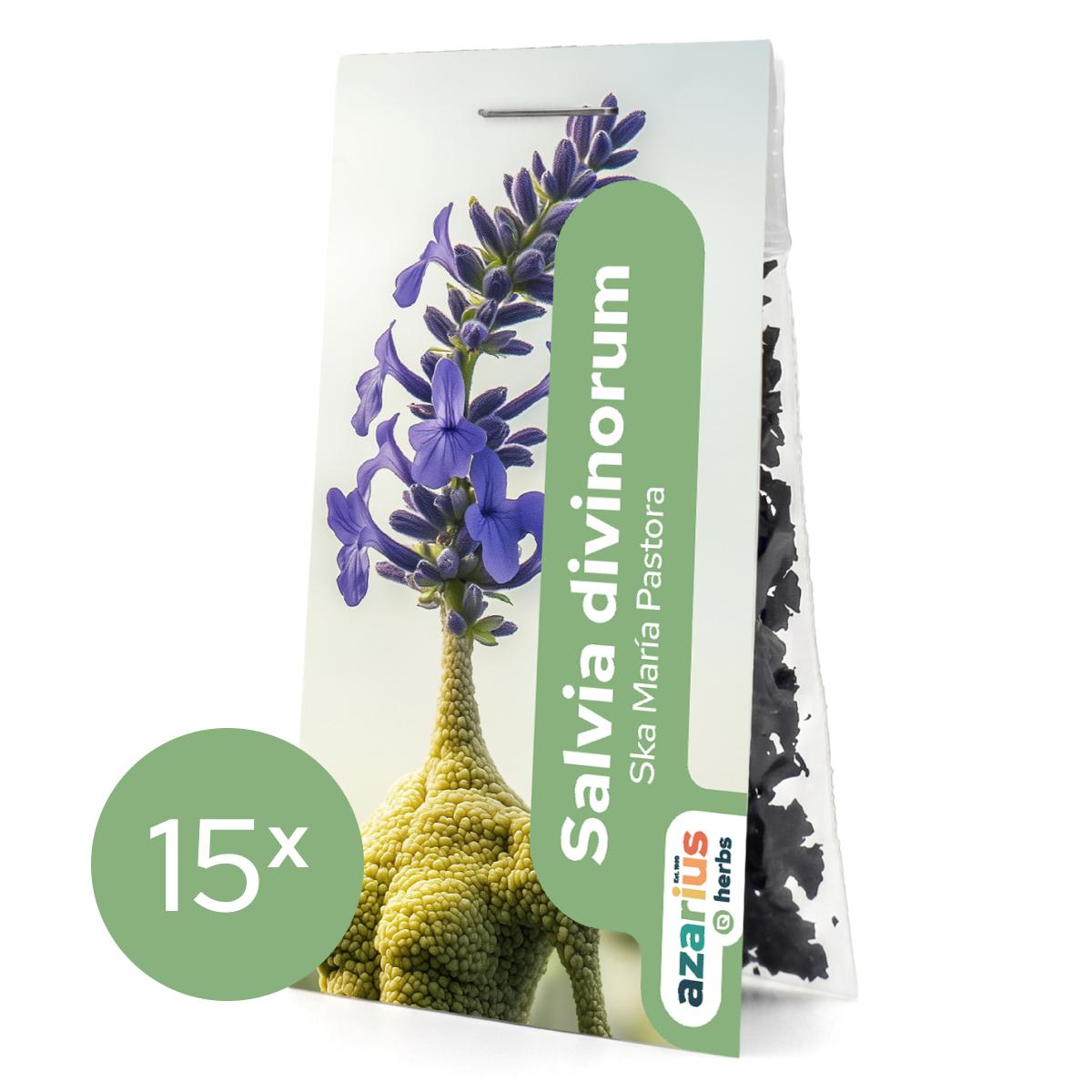 Salvia Divinorum Blätter 1x