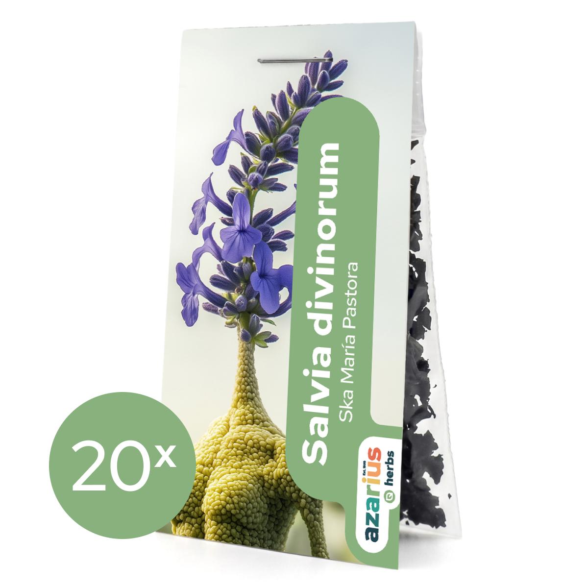 Salvia Divinorum Blätter 1x