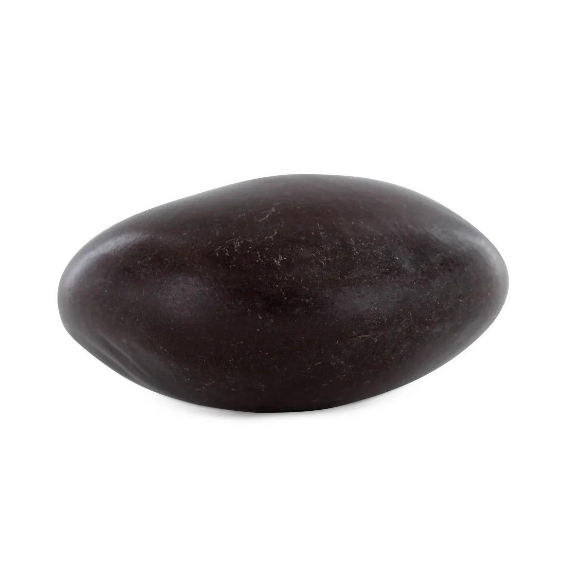 African Dream Seeds (Entada Rheedii)