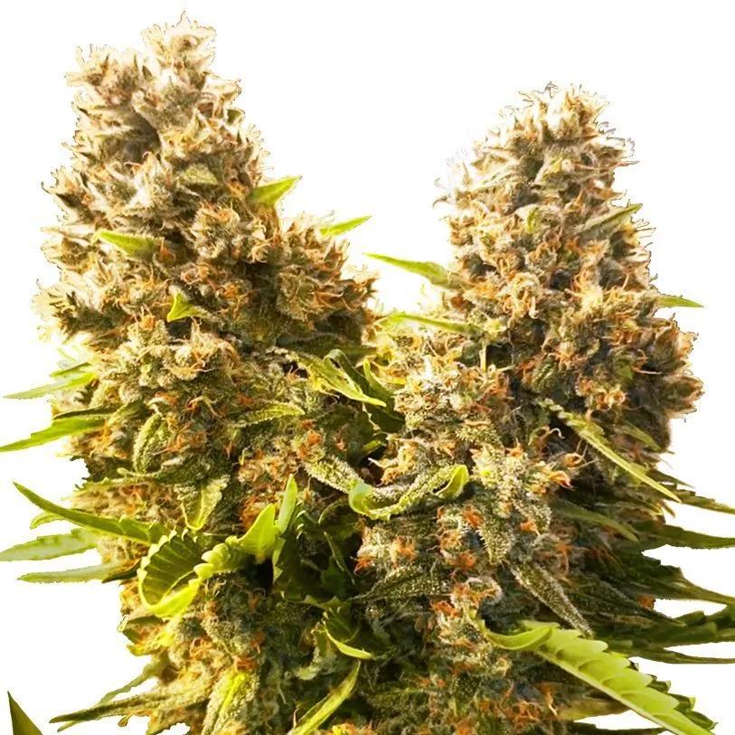Banana Kush Cake