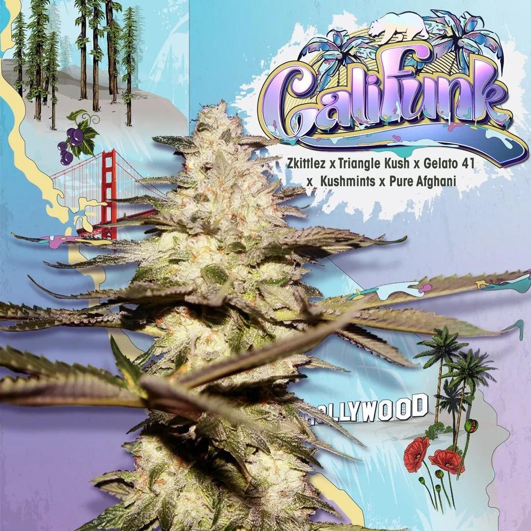 CaliFunk (T.H.Seeds)