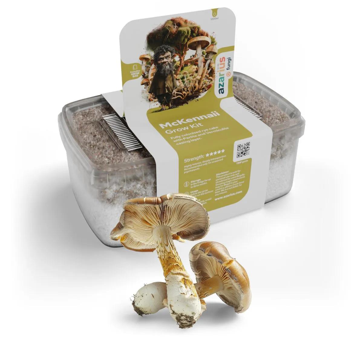 McKennaii Magic Mushroom Grow Kit