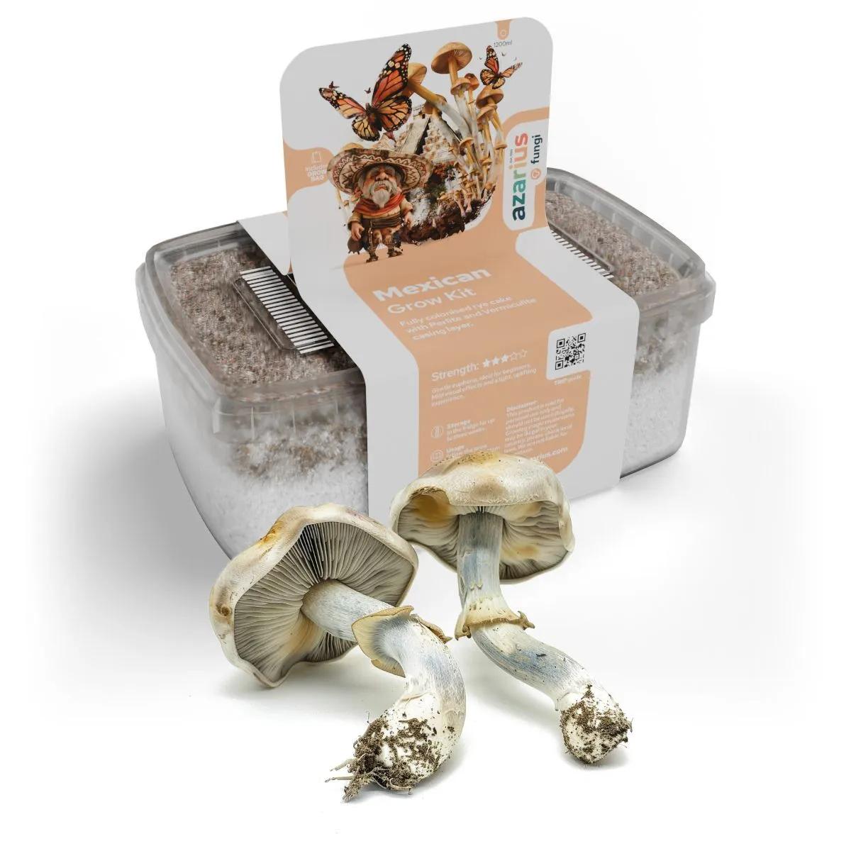 Mexican Magic Mushroom Grow Kit