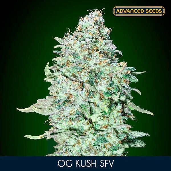 OG Kush SFV