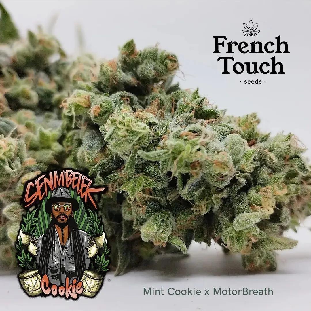 Senmbelek Cookie