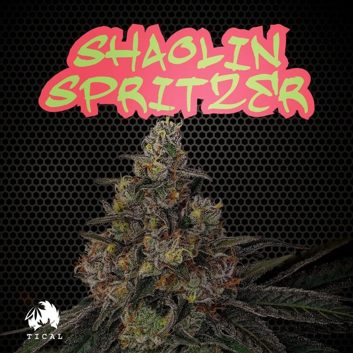 Shaolin Spritzer (TICAL)