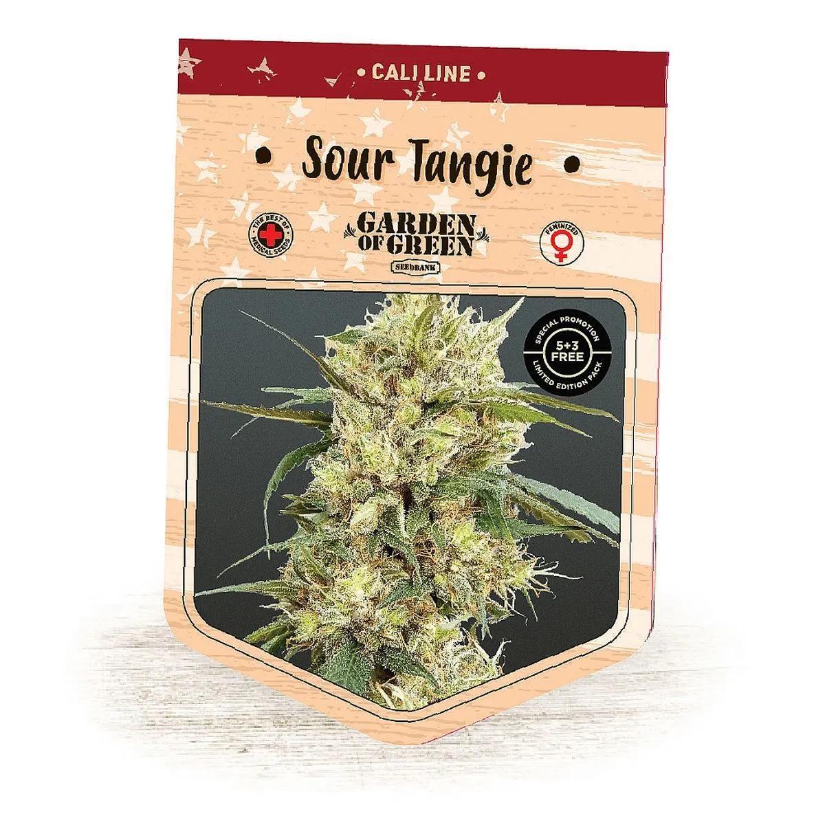 Sour Tangie