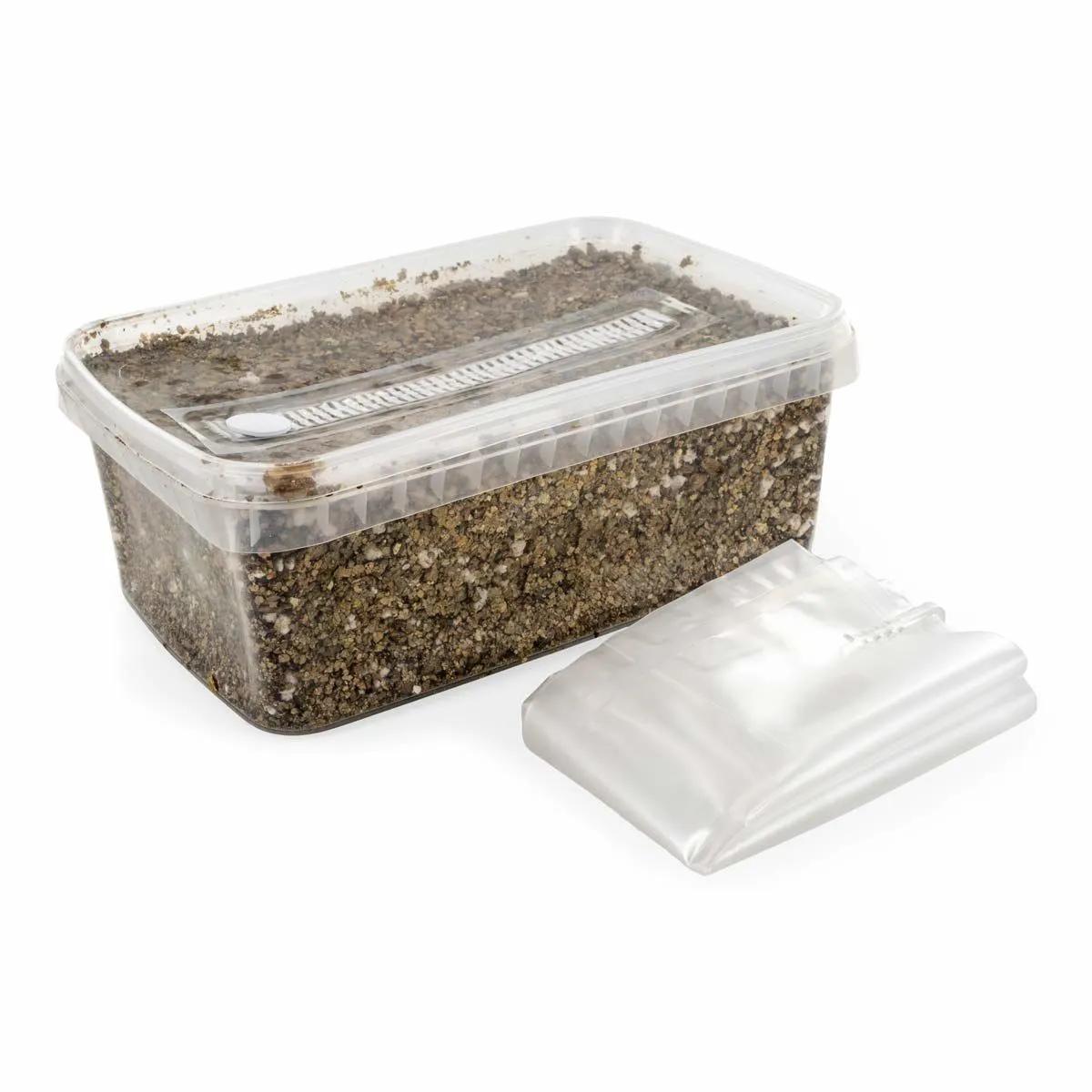 Steriles Substrat-Kit