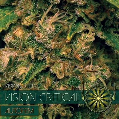 Vision Critical Autoflowering