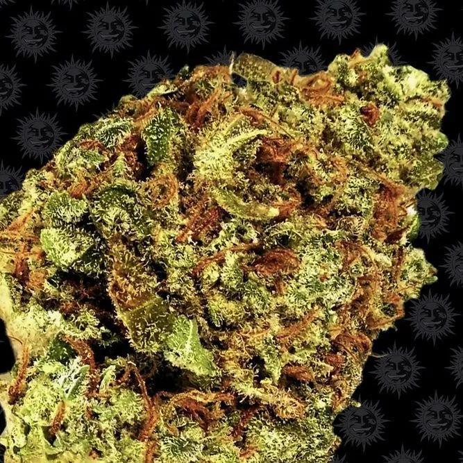 Watermelon Zkittlez