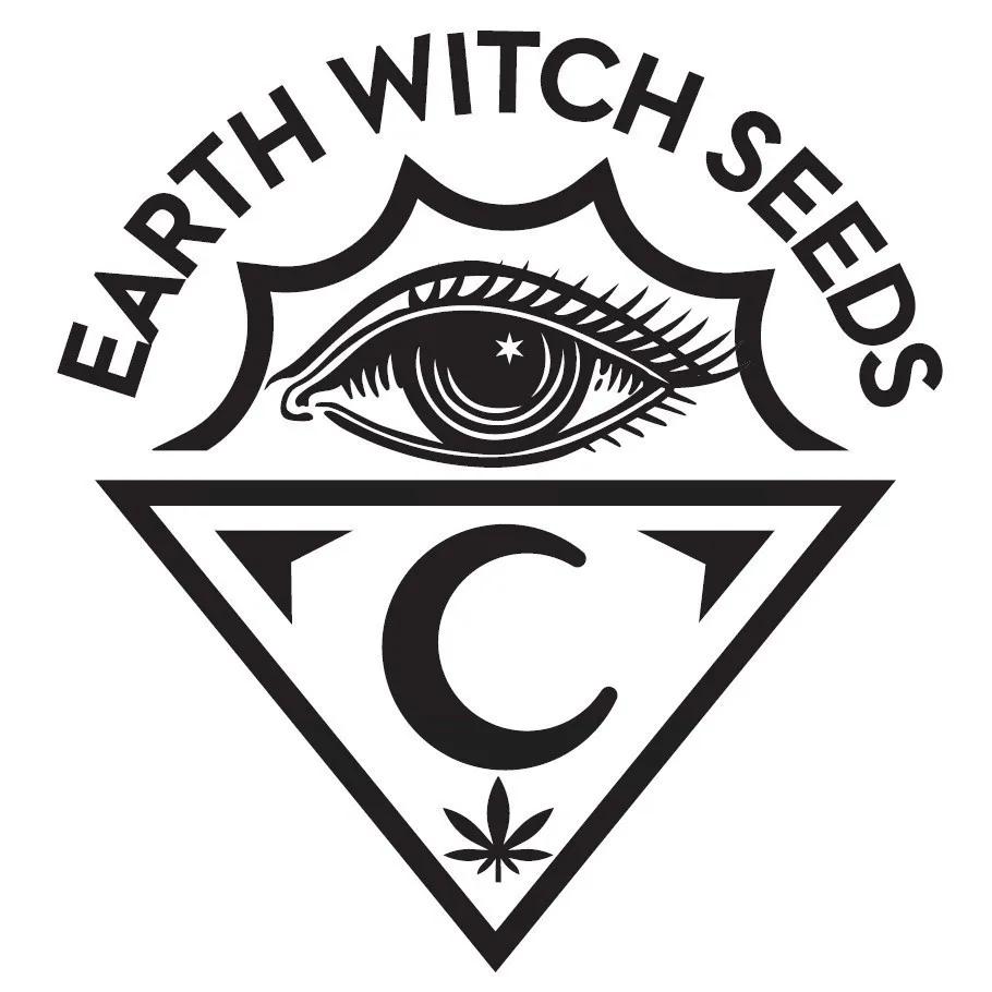 Witchy Wonder