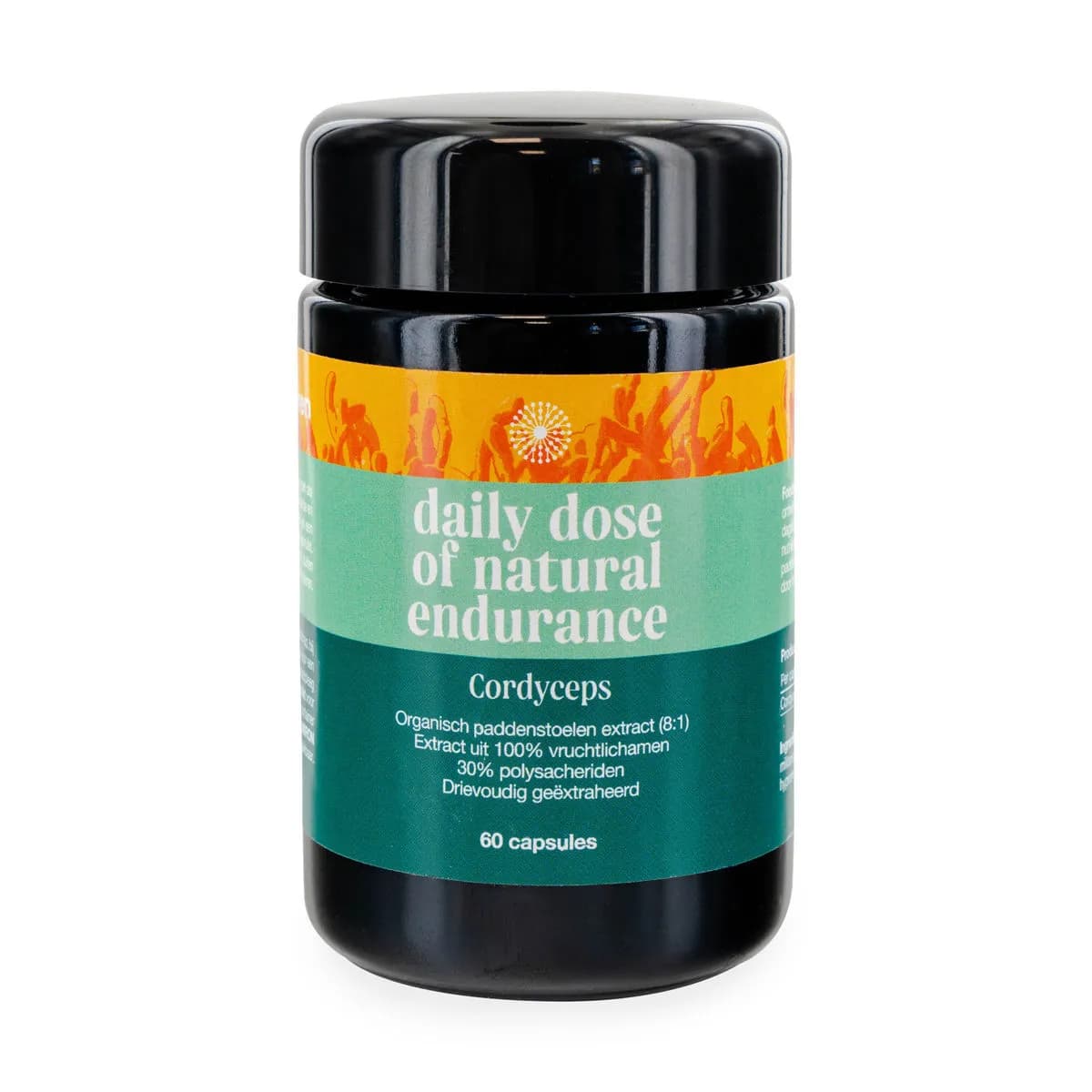 Cordyceps Pilz-Kapseln
