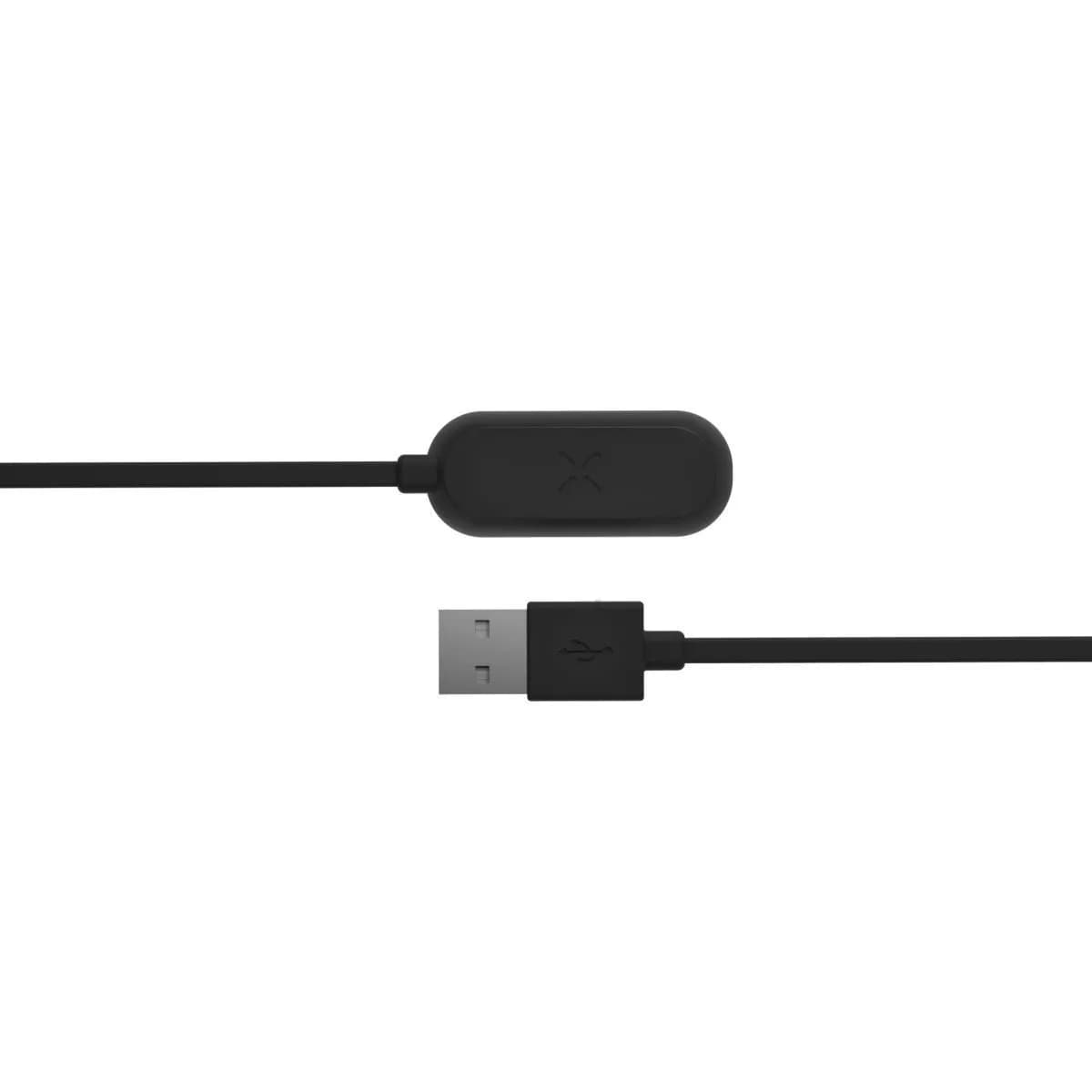 Pax 2/3 Mini-Ladegerät