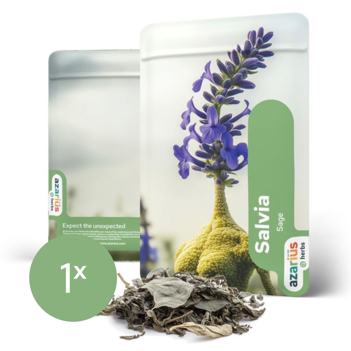 Salvia Divinorum Blätter 1x