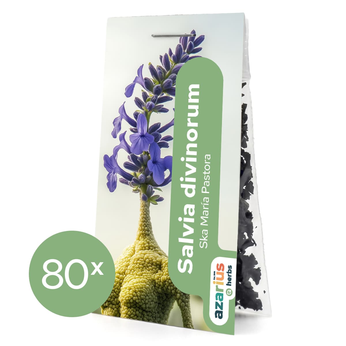 Salvia Divinorum Blätter 1x