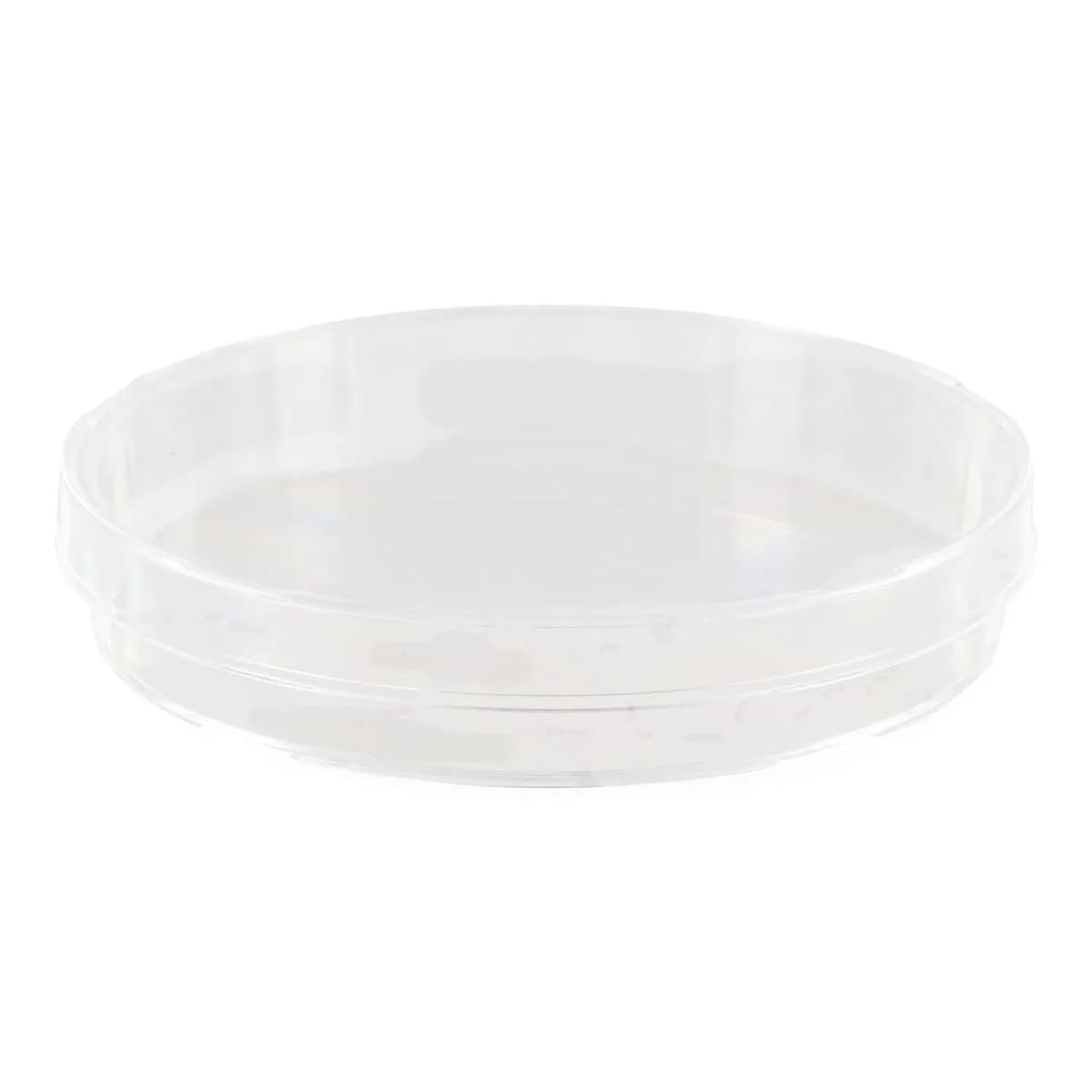 20 Sterile Petrischalen aus Kunststoff