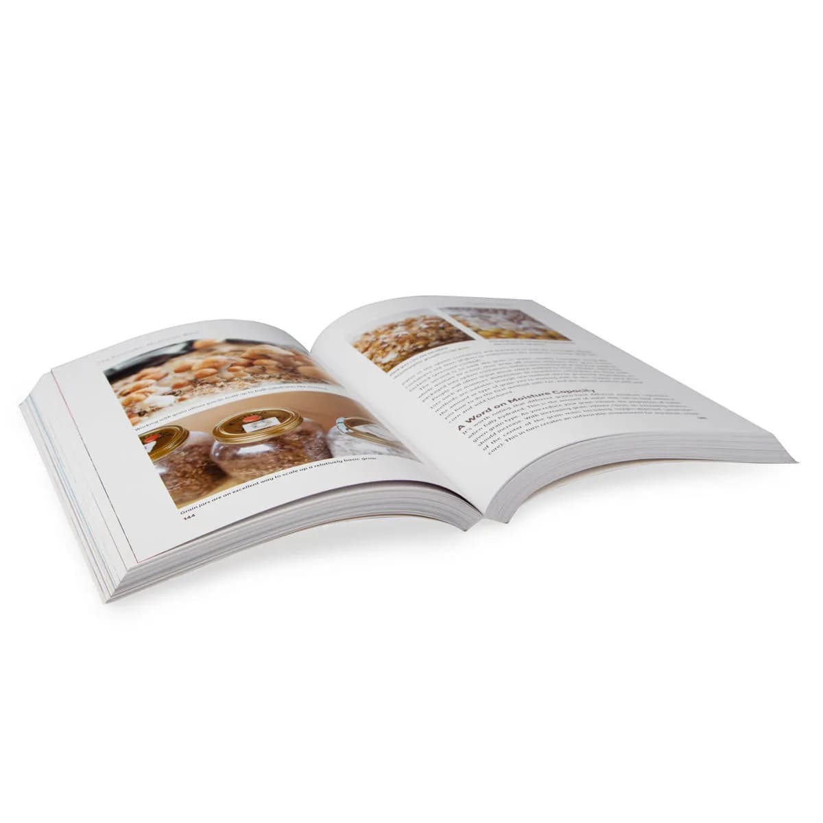 Die Psilocybin-Pilz-Bibel