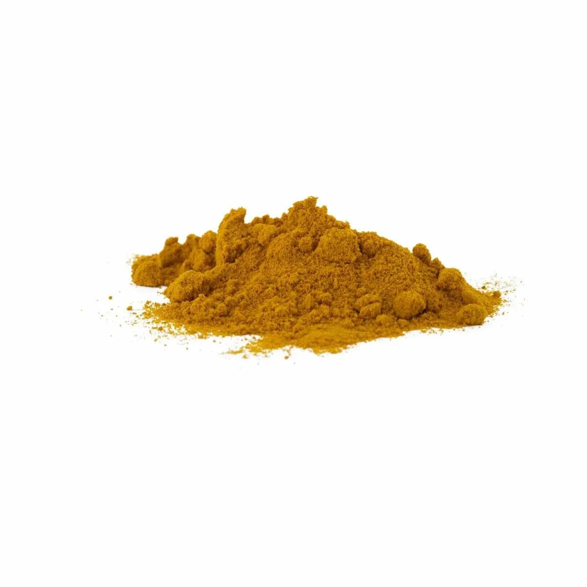 Kurkuma (Curcuma longa) Pulver Bio