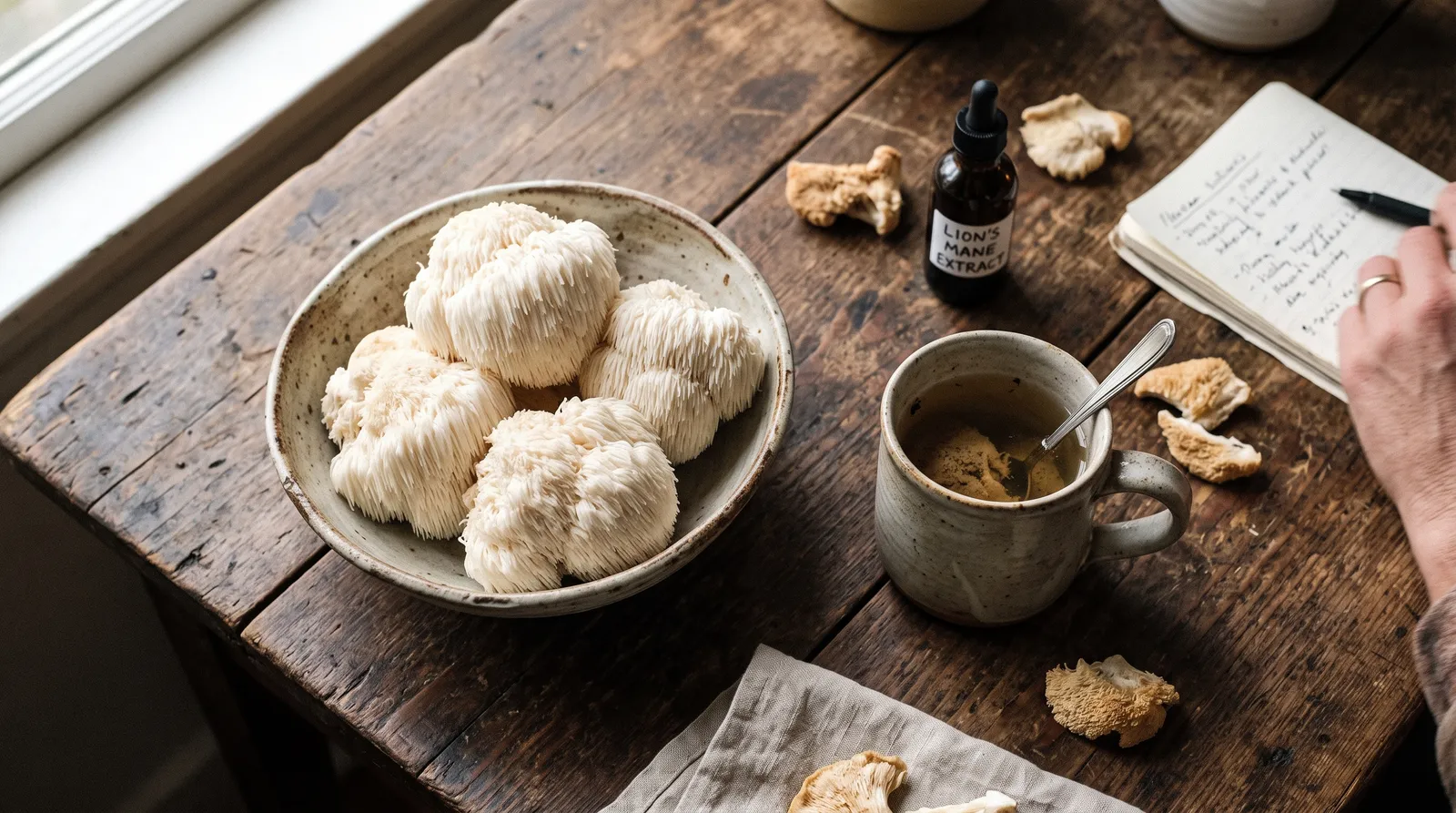AZARIUS · 1. Lion's Mane — der Pilz für den Kopf