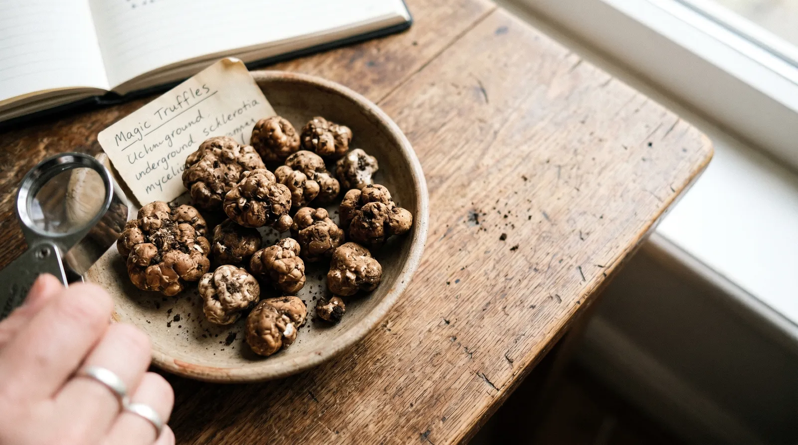 AZARIUS · Zubereitung und Einnahme von Magic Truffles
