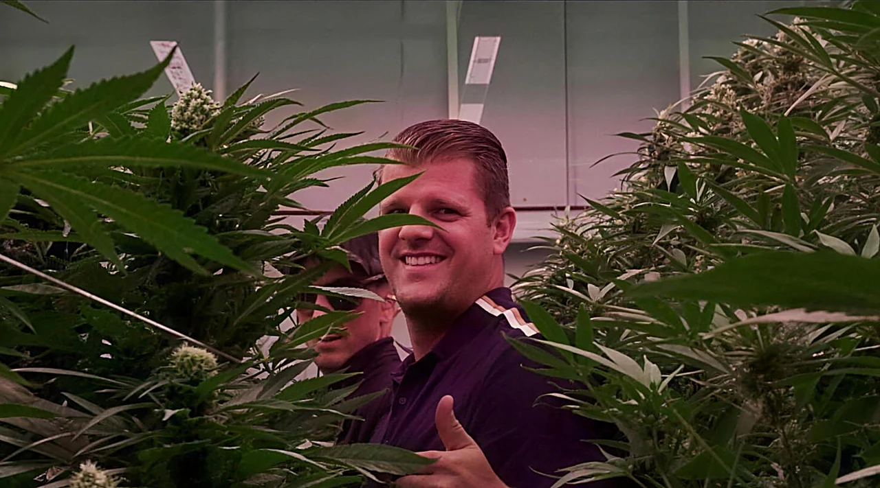 AZARIUS · Inside Inexo: hier wird Cannabisgenetik tatsächlich getestet