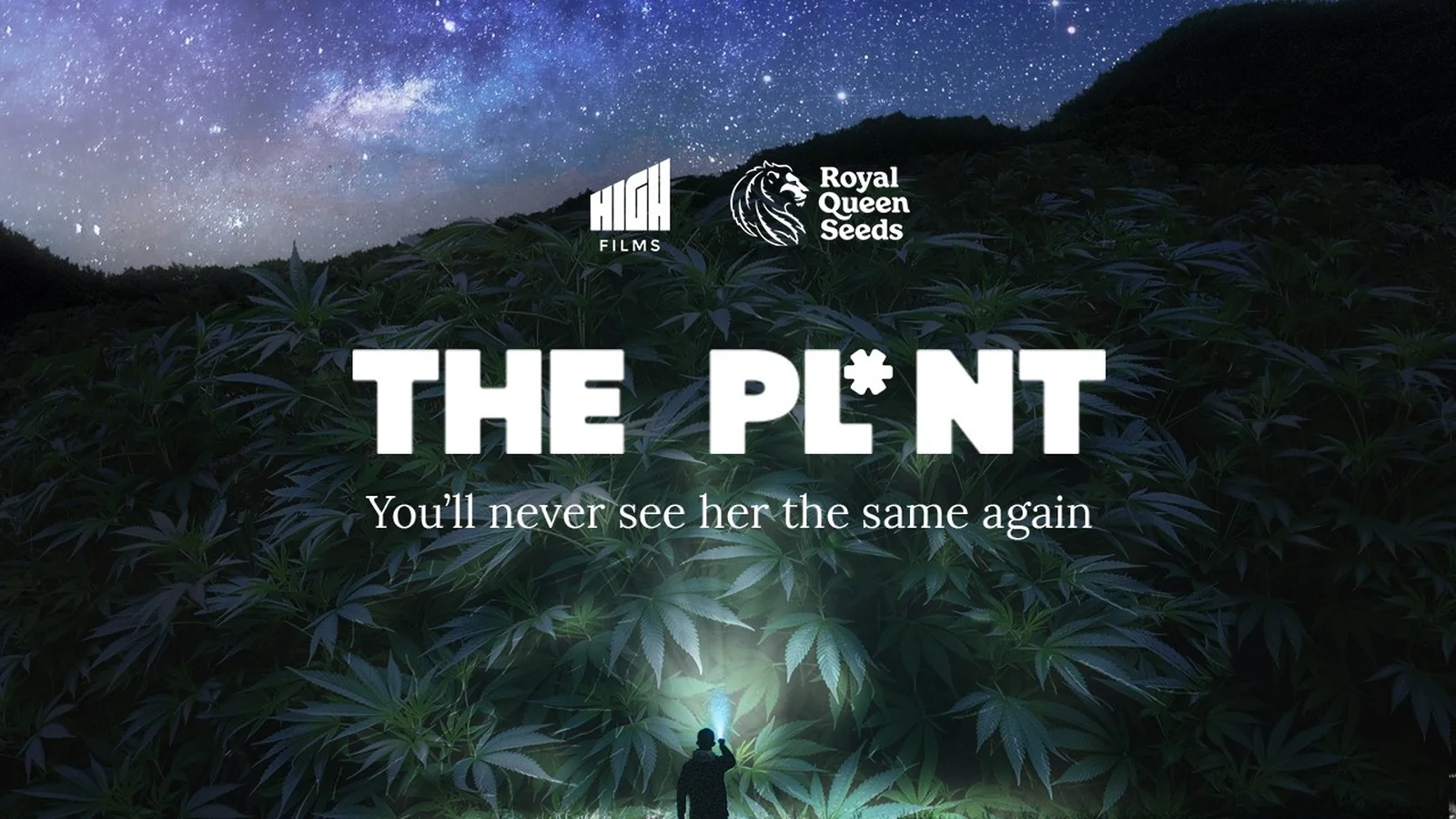 THE PLANT — Cannabis-Doku von RQS & High Films